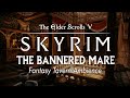 The Bannered Mare | Fantasy Tavern Ambience: Calming Skyrim Music & Scenery to Study, Relax, & Sleep