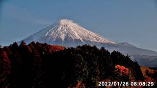 【LIVE】富士山ライブカメラ　4カ所から同時配信（河口湖展望、富士ヶ嶺、朝霧高原、富士山南）　Live Camera Mt.FUJI　2022.1.26