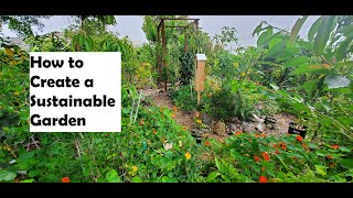 How To Create A Sustainable Garden