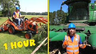 Handyman Hal Tractors for Kids | Farm Animals | Harvesting with Farm Equipment | Fun Videos for Kids