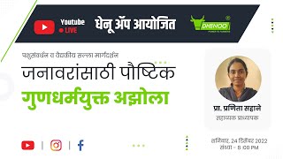 जनावरांसाठी पौष्टिक गुणधर्मयुक्त अझोला  |  प्रा. प्रणिता सहाने