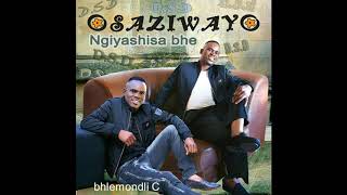 OSAZIWAYO -NGIYASHISA BHE (BAPHUSHE NJOMANE)