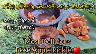 How to Make Rose Apple Pickle 🍎 Cooking most Delicious traditional food #village_food #villagelife