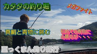 【和歌山カタタの釣り堀】真鯛と青物に挑む 初めての青物に心踊るが・・・