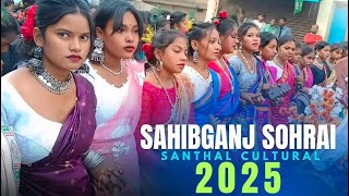 साहिबगंज सोहराय ॥NEW SANTHALI SOHRAI VIDEO 2025🌾🍂