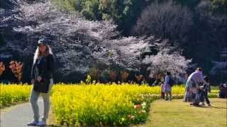 Hamanako Flower Park