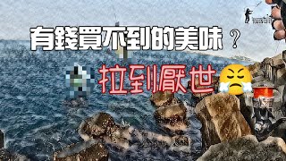 (EP27)TAIWAN釣遊/不無聊魚一直拉/一言不合就群攻/磯釣/釣魚/寸真