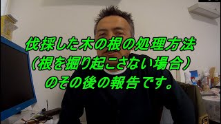 伐採した木の根の処理方法（根を掘り起こさない場合）のその後の報告です。