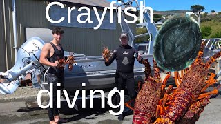 Ep13 Freediving in a new dive location for crayfish🤿  #entertainment #diving #fishing #seafood