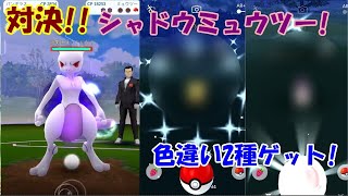 【ポケモンGO】対決・シャドウミュウツー！！他色違い2種類ＧＥＴ　12Ｋ卵から新実装ポケモン進化まで！【無課金】Showdown / Shadow Mewtwo　Pokemon GO