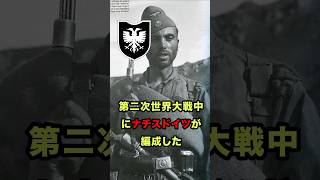 第21SS武装山岳師団スカンデルベグのシンボルについて  #歴史  #ドイツ軍  #解説