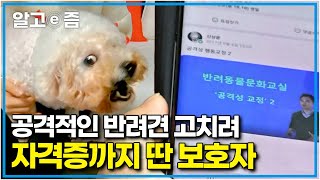 맹견 못지않게 공격적인 반려견의 문제 행동을 고치기 위해 바쁜 시간을 쪼개서 \