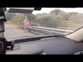 crazy lady at myakka state park sarasota florida gets uncomfortably close to a gator for a pic 🤦🏻‍♂️