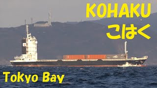 KOHAKU Cargo/Container Ship Tokyo Bay Shipspotting | こはく 東京湾