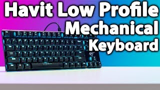 Havit Low Profile 87 Keys TKL Mechanical Keyboard Review (HV-KB390L) - Pretty Good