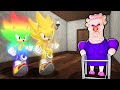 RAINBOW SONIC AND SUPER SONIC VS GRUMPY GRAN IN ROBLOX