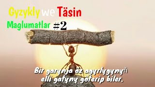 Gyzykly we täsin maglumatlar #2 | Bilgirje okuwçy