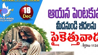 యేసు క్రీస్తు జననం ప్రవచనం?#trending #telugu #biblestudy #aradhana #livetv