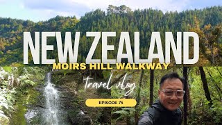 New Zealand - Moirs Hill Walkway is located in the Warkworth area of Auckland | Episode 75