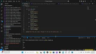 Python Papi / Smart Contracts - Moccasin Fundamentals Setup - Knowledge Demostration