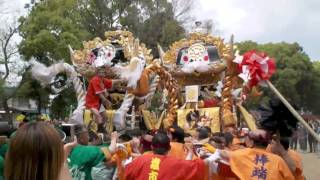 20100509 泊神社国恩祭 1