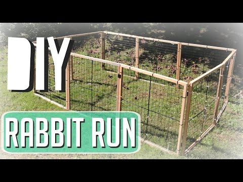 How I Made My Rabbit Run How I Made My Rabbit Run