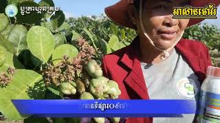 #អាស៊ានផៅវ័រ|ASEAN POWER វគ្គមួយថារំភើបជំនួសអតិថិជនហើយ☺️