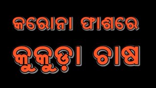 କୋଡିଏ ଟଙ୍କାରେ କୁକୁଡା କିଣୁ ନାହାନ୍ତି କେହି ॥ ଗଣ ଦୃଷ୍ଟି ॥