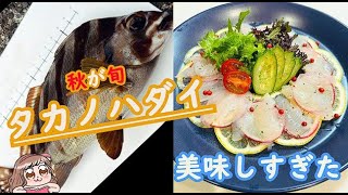 【タカノハダイ】がうますぎた！ #釣り #釣りガール #釣り初心者 #料理 #タカノハダイ #木負堤防 #魚料理 #カルパッチョ