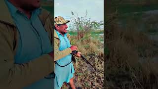 teel duck hunting |duck hunting|12 Bor hunting|flying hunting|airhunting|duck hunting in pakistan