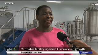 Cannabis facility sparks EC economic growth