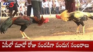 ఏపీలో మూడో రోజు సందడిగా పండుగ సంబరాలు! | Last Day Festive Vibes in AP | TV5 News