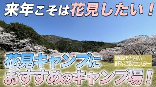 【キャンプ場紹介】京都『七谷川野外活動センター』来年こそはお花見したい！お花見キャンプならここ！