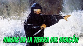 Wu Tang Collection - Ninjas en la Tierra del Dragón (Ninja in the Dragons Den)
