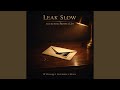Leak Slow