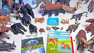 NEW WILD ANIMALS - Chimpanzee, Gorilla, Red Panda, Orang Utan, Squirrel Monkey, Buffalo, Bison,