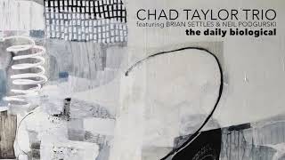 Chad Taylor Trio - \