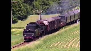 Dampfsonderzug mit 24 009 von Weinheim nach Wald-Michelbach zum Geburtstag von Wolfgang Löckel(1993)