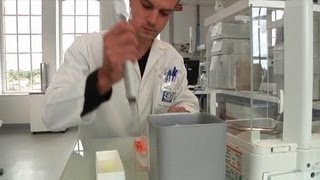 Soufflet en vitrine des biotechnologies dans l'Aube