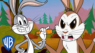 Looney Tunes | Is Bugs Bunny a Real Rabbit? 🐇| WB Kids