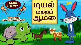 முயல் மற்றும் ஆமை - Bedtime Stories | Moral Stories | Tamil Fairy Tales | Tamil Stories | Koo Koo TV