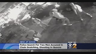 Chain Snatchers Sought