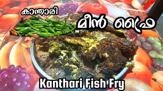 കാന്താരി മീൻ ഫ്രൈ ഉണ്ടാക്കാം | Let's prepare Kanthari Fish Fry |@GJSHALOMGEORGEJOHN