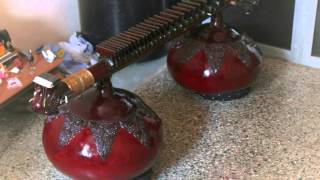 RUDRA VEENA MADE BY DHAVAL MISTRY