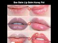 bee balm lip balm honey pot propolis moisturizing honey lip mask lip balm