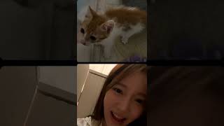 230813 자스민 정승희 춘식이 입양 인스타 라이브Full ver.(댓글X) Feat. 백장미 김효은 스민X장미