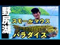 【野尻湖】虫が炸裂！全員で40アップ連発なスモールマウスパラダイスで楽しんできた！