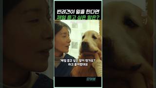 반려견에게 가장 듣고 싶은 말은? #도그데이즈