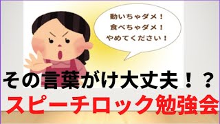 その言葉がけ大丈夫！？スピーチロックを見直す勉強会【介護の勉強会・マキシマムトマト】