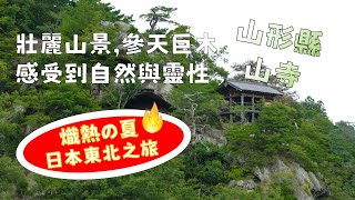 熾熱の夏-日本東北之旅|山形縣山寺Yamadera|壯麗山景,參天巨木,感受到自然與靈性